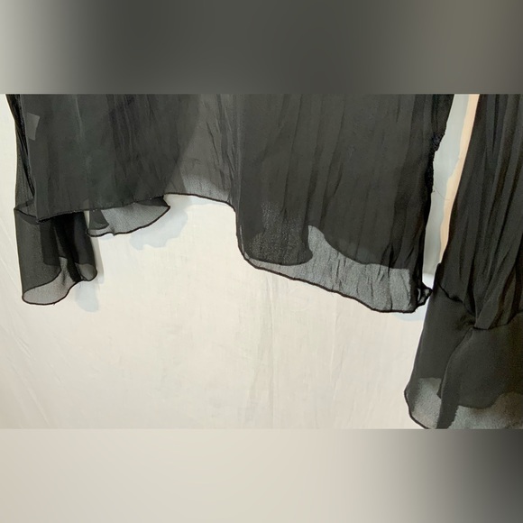 ALLISON TAYLOR - STUNNING Sheer Blouse RUFFLES LACE Button-down Sz M - BLACK - Picture 7 of 10